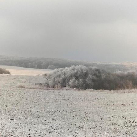 Ferienwohnung Uckermarkblick Ziehten Екстериор снимка