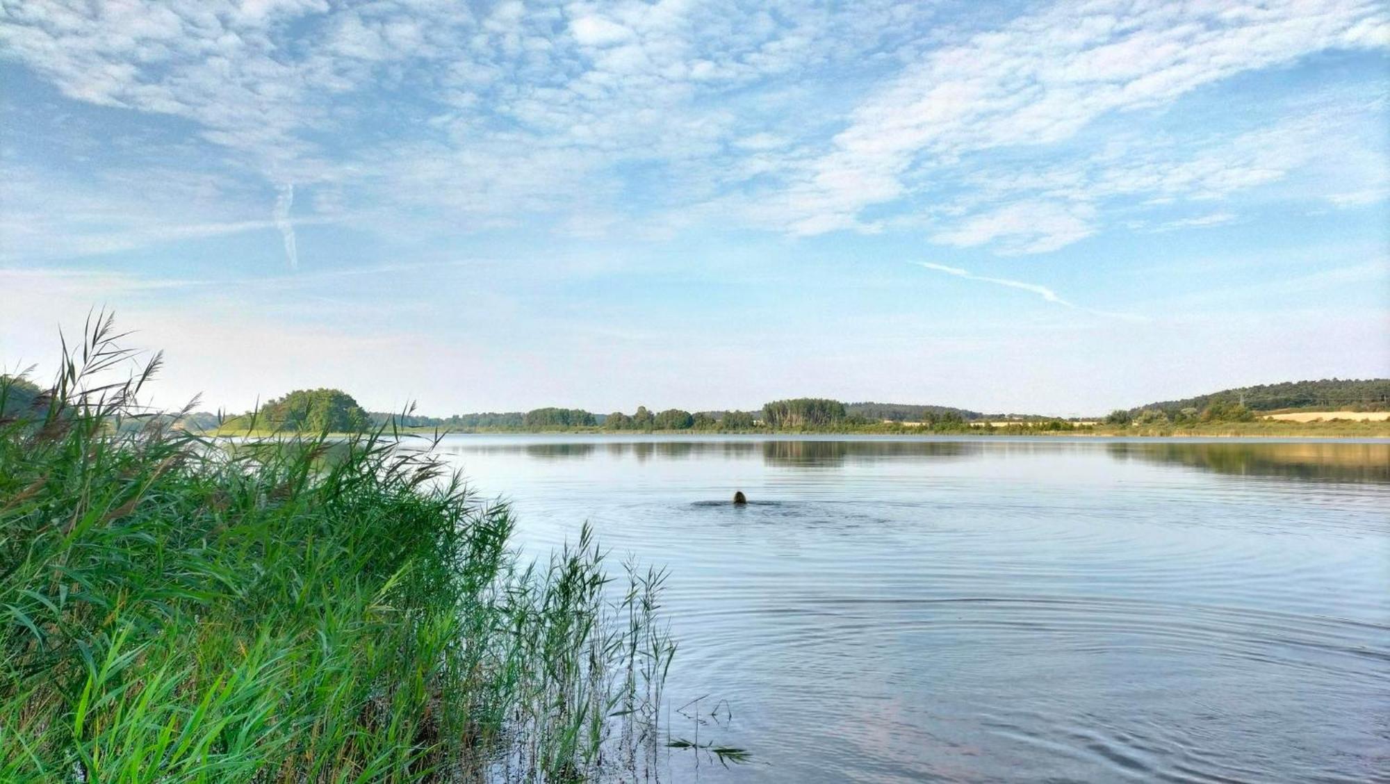 Ferienwohnung Uckermarkblick Ziehten Екстериор снимка
